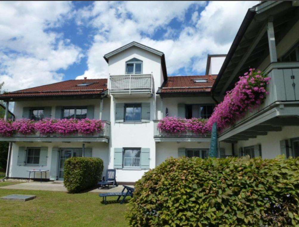 Ferienwohnanlage Bruennstein Wohnung 54 Oberaudorf Exterior foto